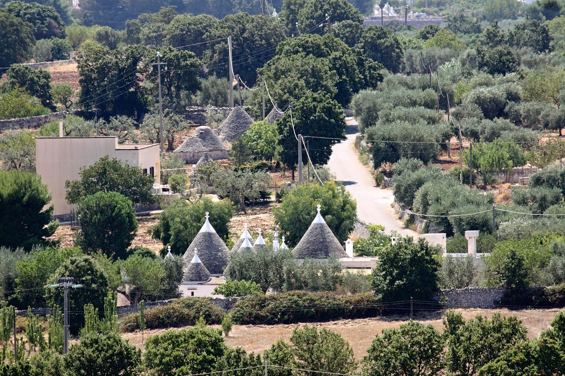 Traditional trulli among olive trees in the Valle d’Itria, Puglia